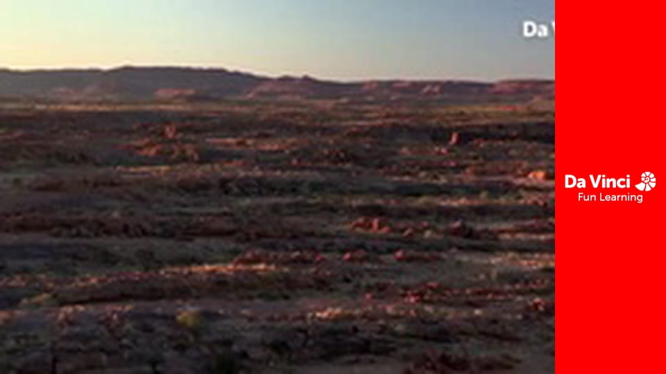 Siyaya - Kalandozz velünk! - Nagy hangzavar