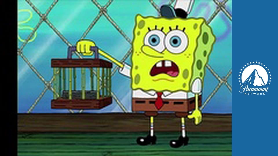 Spongebob v kalhotách S3E16 - Znovuzrozený Krabs / Měl jsem nehodu