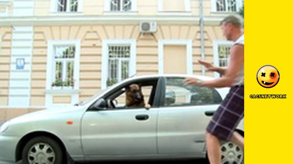 Crazy TV Pranks, 8 еп.