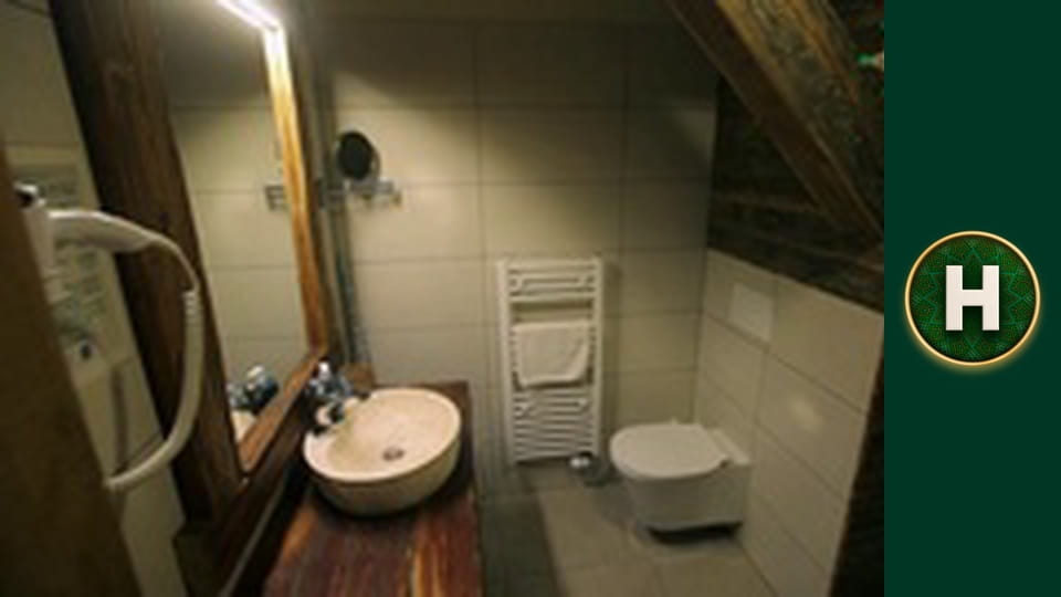 Орел і Решка. Земляни