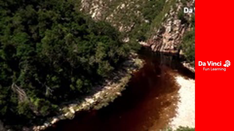 Siyaya - Veniți cu noi în sălbăticie - La capătul râului