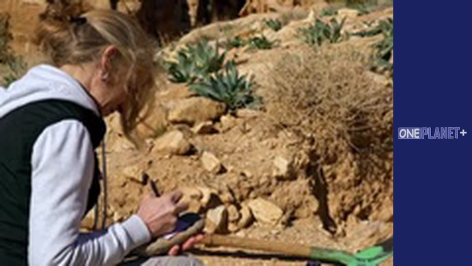 Unlocking the Past, Episode 3