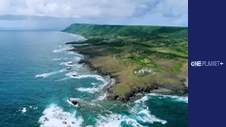 In the rhythm of the dance around the world. Season 3 - Episode 13