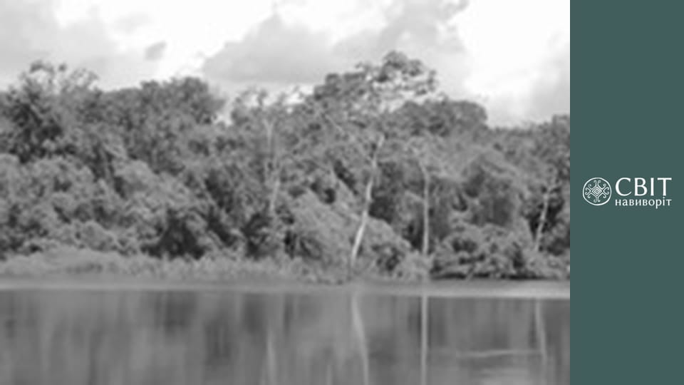 Season 10, Episode 3, Brazil