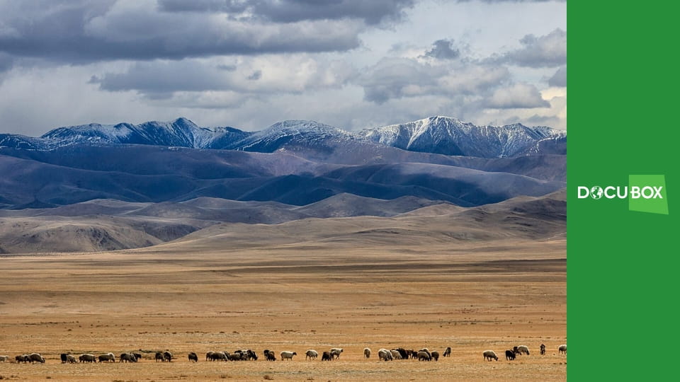 Mongolia. Stepowy emirat