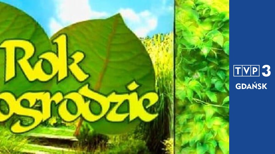 Rok w ogrodzie E1138