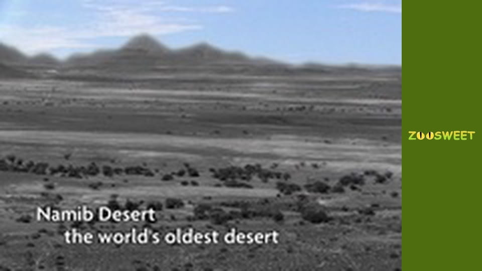 My favorite - episode 1