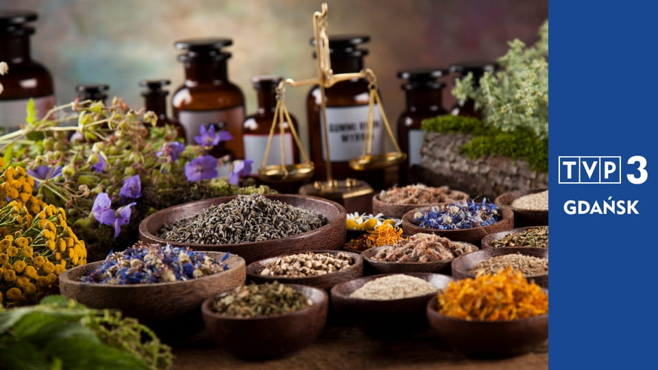 Zielnik regionalny E6