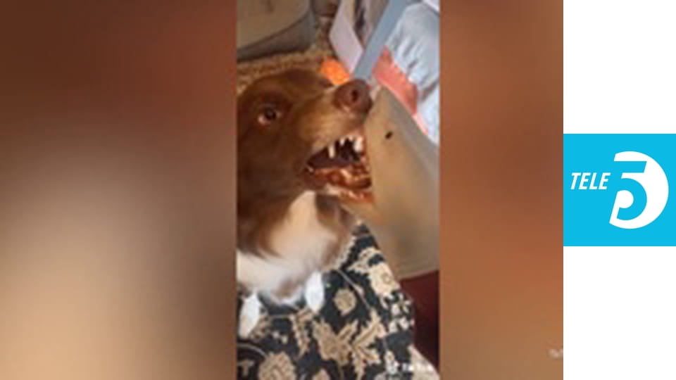 Remont na 5+ Kids E7