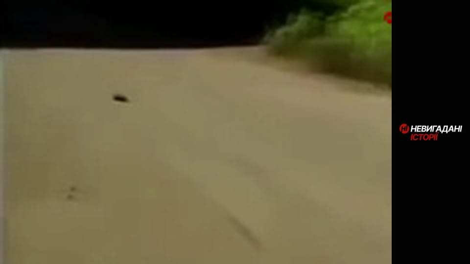 Невигадані історії. Війна. Початок.