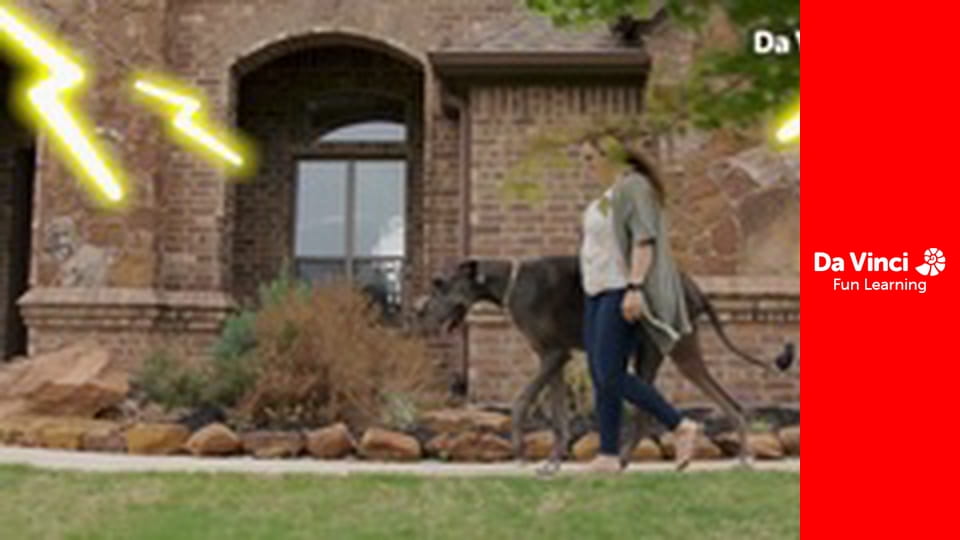 Legek legje - Veranica Tchalabaeva: Echipa câștigătoare de caniche