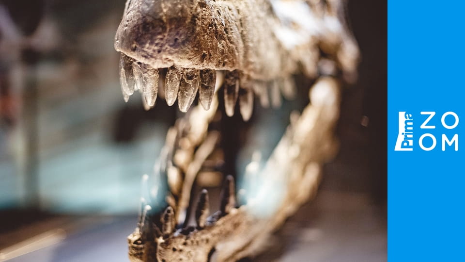 Prokleté poklady E8