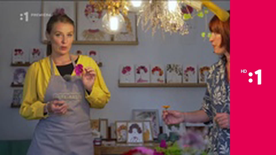 Cestou necestou E2 - Čo ste nevideli z Európy