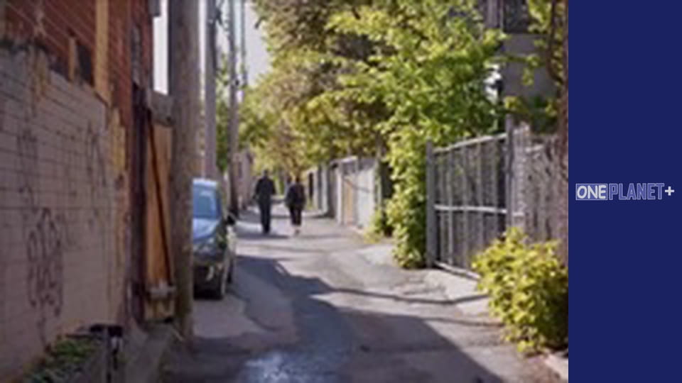 Secrets of the Brain - series 5