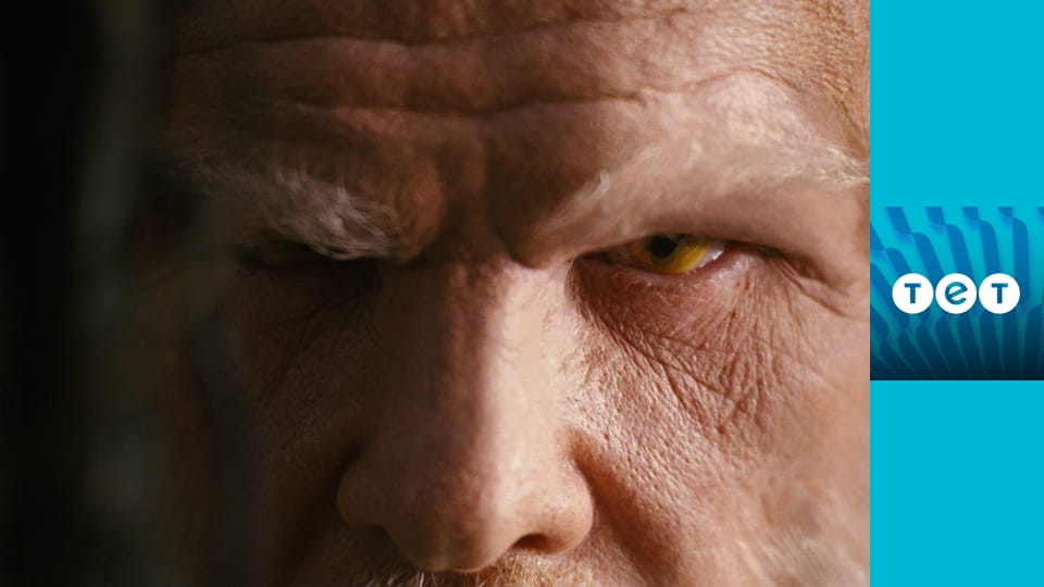 Спайдервік: хроніки