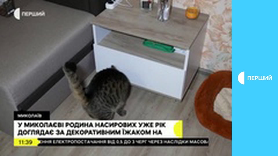 "Суспільне. Студія". Інформаційний проєкт. Наживо.