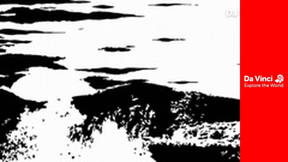 Młode zwierzaczki - Rysie iberyjskie