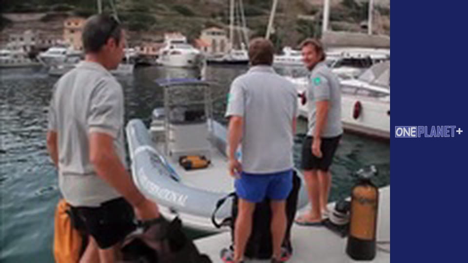 Just in the sky - National Parks. - episode 2