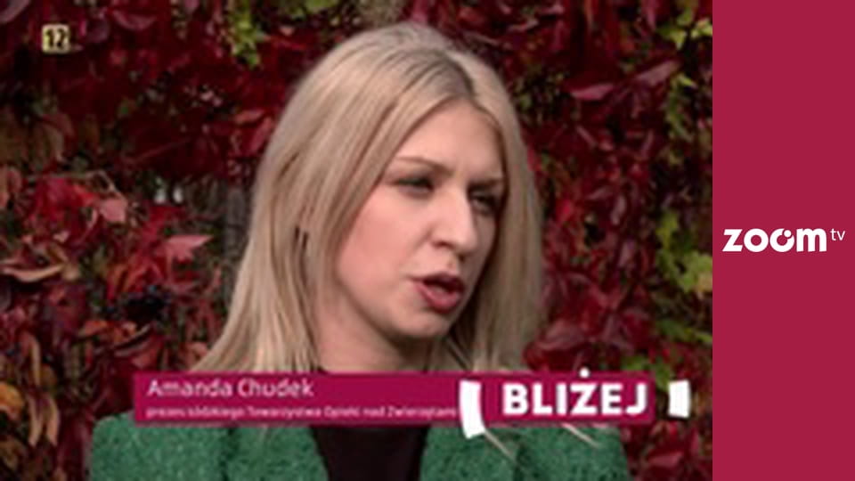 Bliżej! Magazyn reporterów S11E9