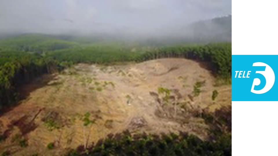 Sekrety zwierząt E6