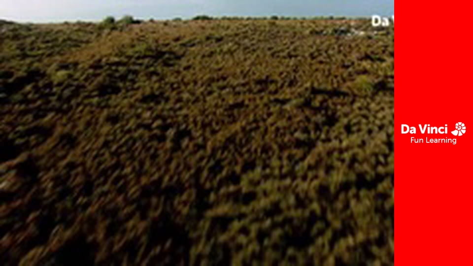 Siyaya - Kalandozz velünk! - Túl a csúcson