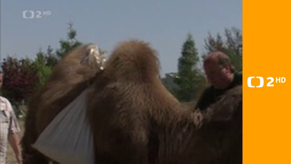 Vzkaz - Kurta Gebauera