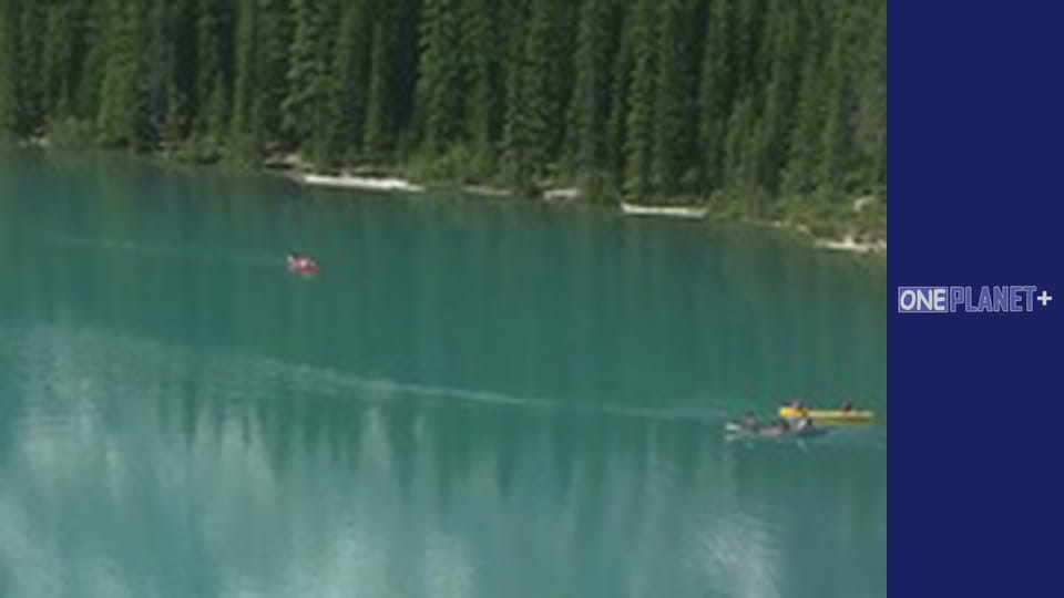 It is worth visiting. - episode 21