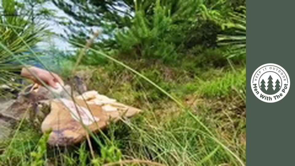 Fripturi FRAGEDE și SUCULENTE Gătite în Natură