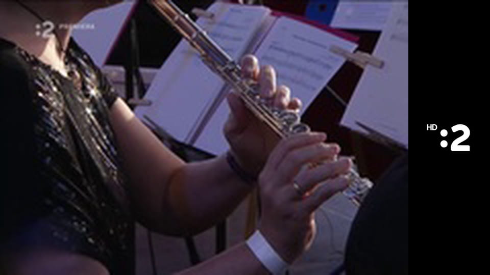 Symfónia umenia E1 - Večerníček