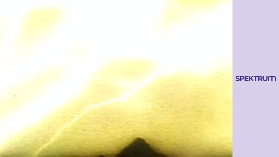 Nejhledanější nacisté