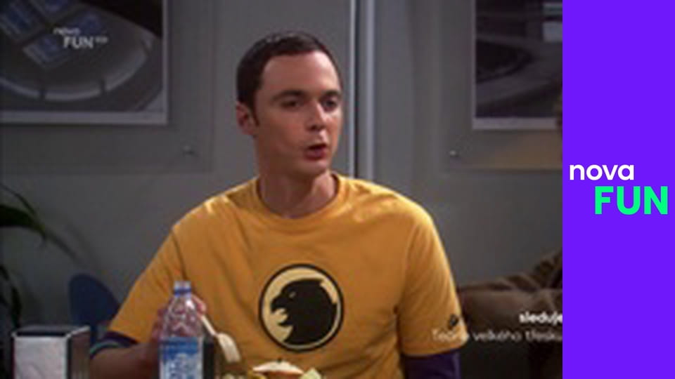 Teorie velkého třesku S4E6 - Alibi z irské hospody