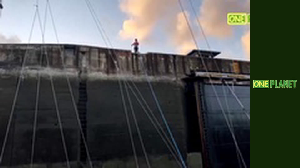 Дальние берега, 2 сезон, 14 эп.