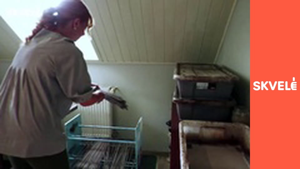 V Remesle - Výroba košíkov