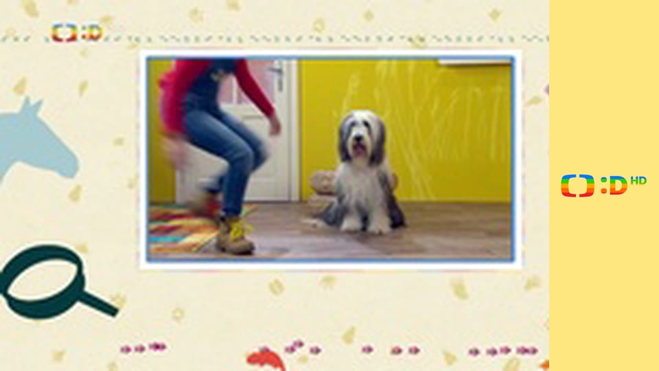 Terčin zvířecí svět