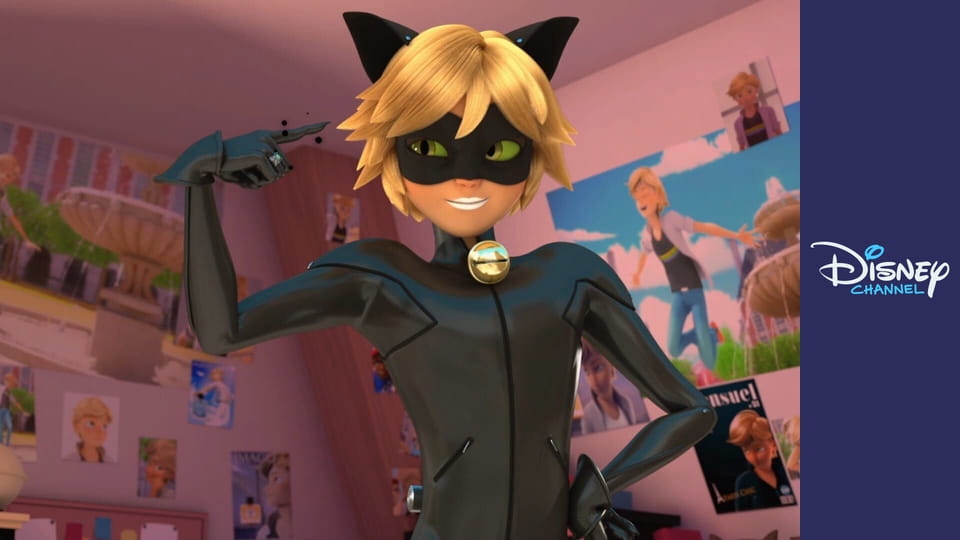 Kouzelná Beruška a Černý kocour E110