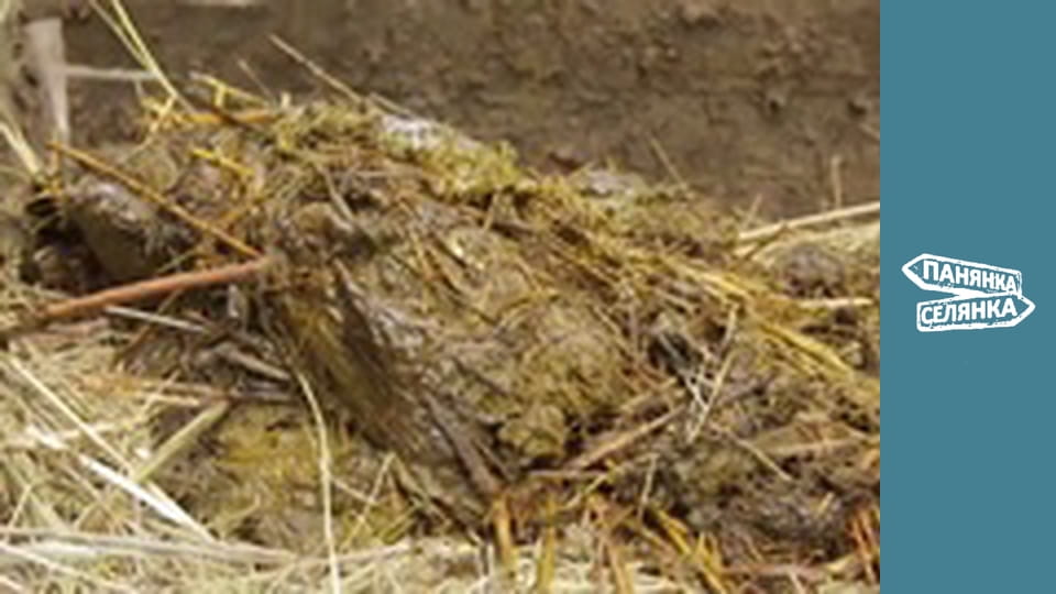 City Girl, Country Girl, Season 6, Episode 16