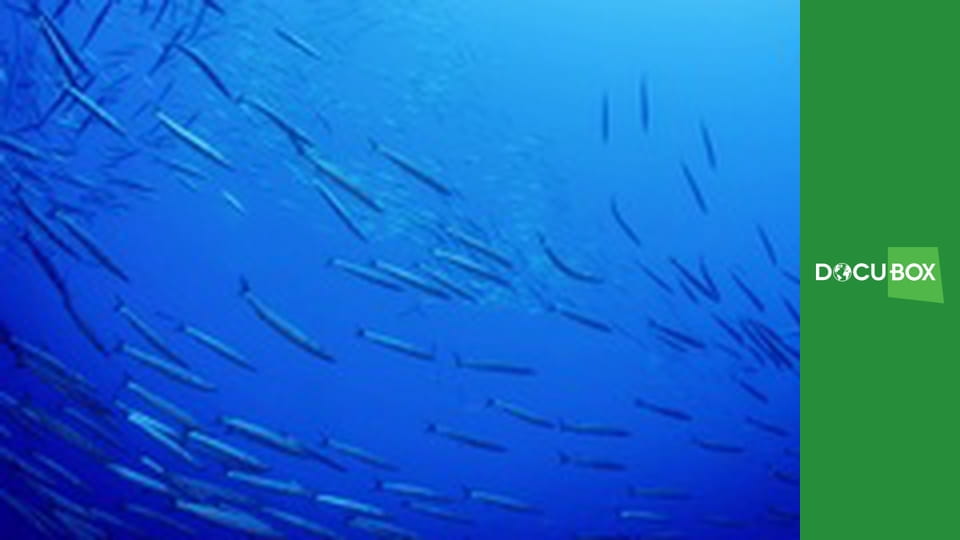 Sztuka przetrwania w oceanie