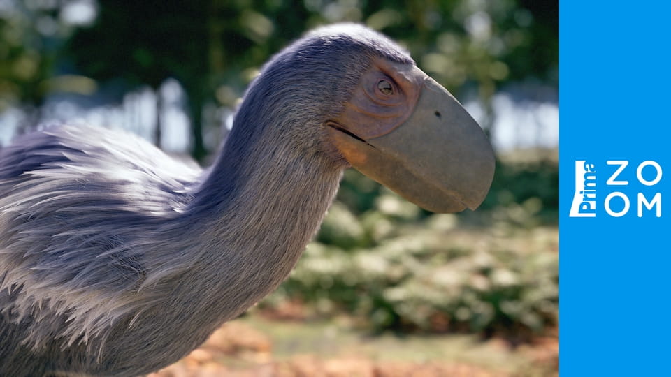 Ptačí říše v rozletu E2