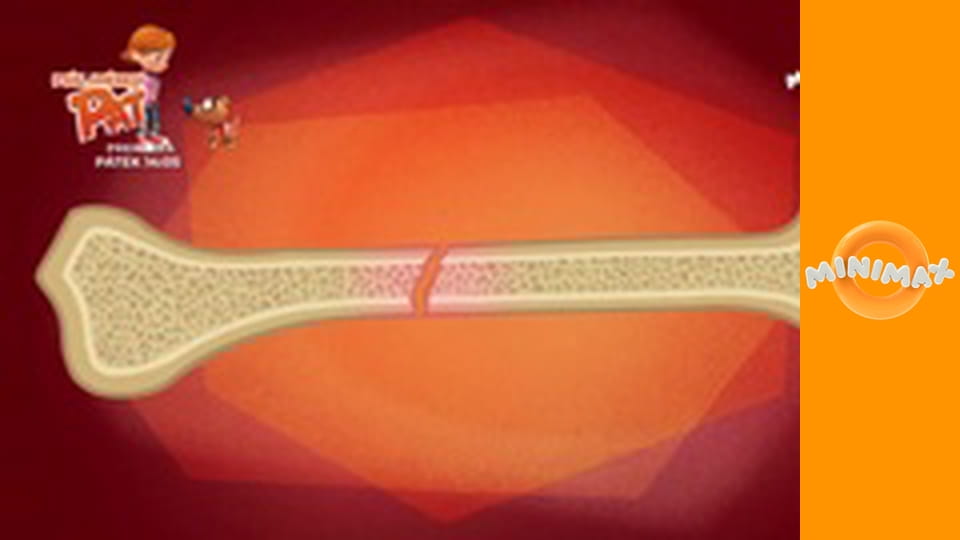 Byla jednou jedna… Věc S1E63 - Sádra