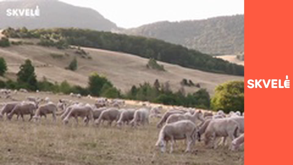 V Kuchyni - Tradičný slovenský salaš