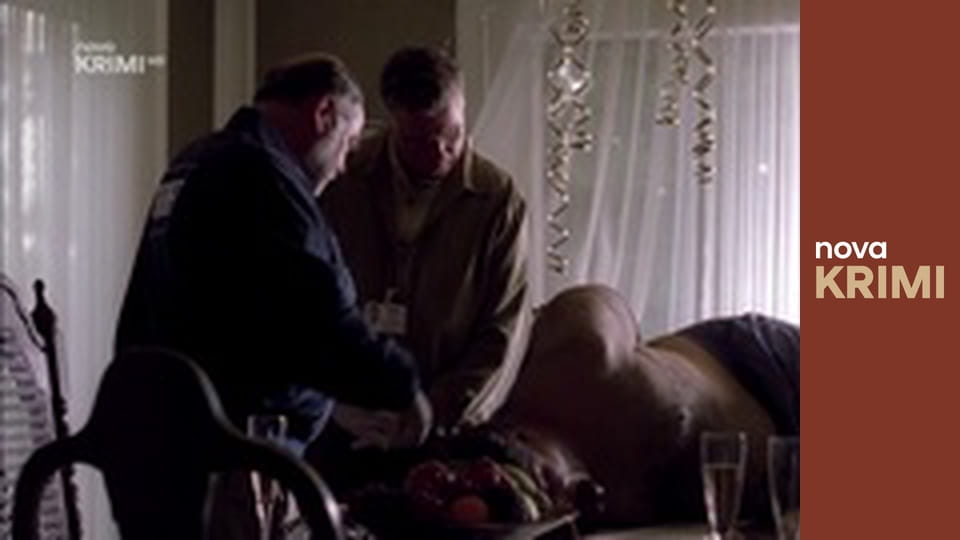 Kriminálka Las Vegas S2E22 - Mezistátní spolupráce