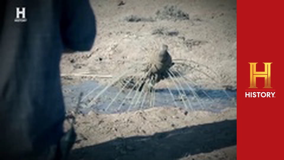 Проклятие ранчо Скинуокер, 6 сезон, 4 эп. Как лопнуть пузырь.