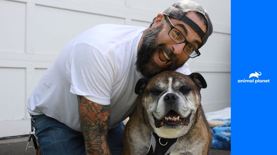 Zvířecí obydlí S1E5 - Unikátní jeskyně pro zvířata