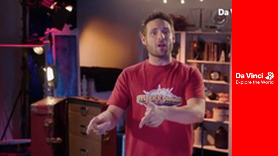 mathXplosion - It’s a Bird!  It’s a Fish!  It’s a Metamorphosis!