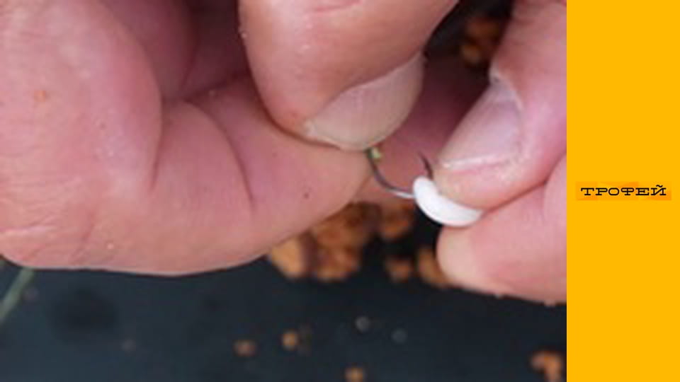 Риболовля з Юрієм Петрашем E273