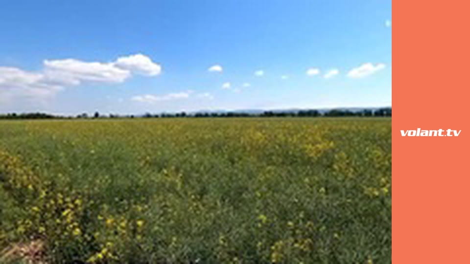 Testy nových áut E308