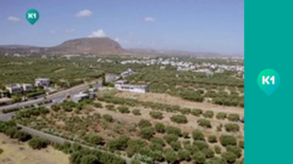 "Хижі до їжі" з Андрієм Бєдняковим.