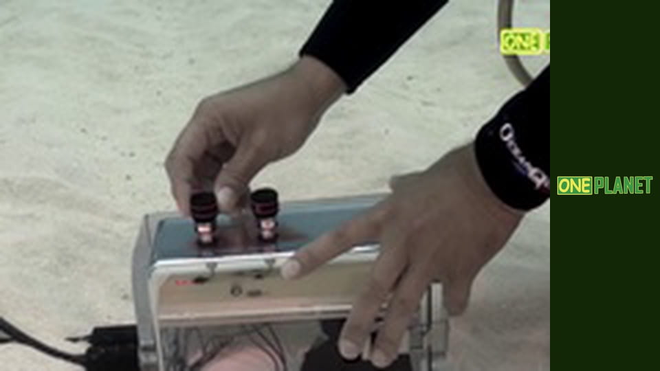 Мир морских глубин, 11 эп.