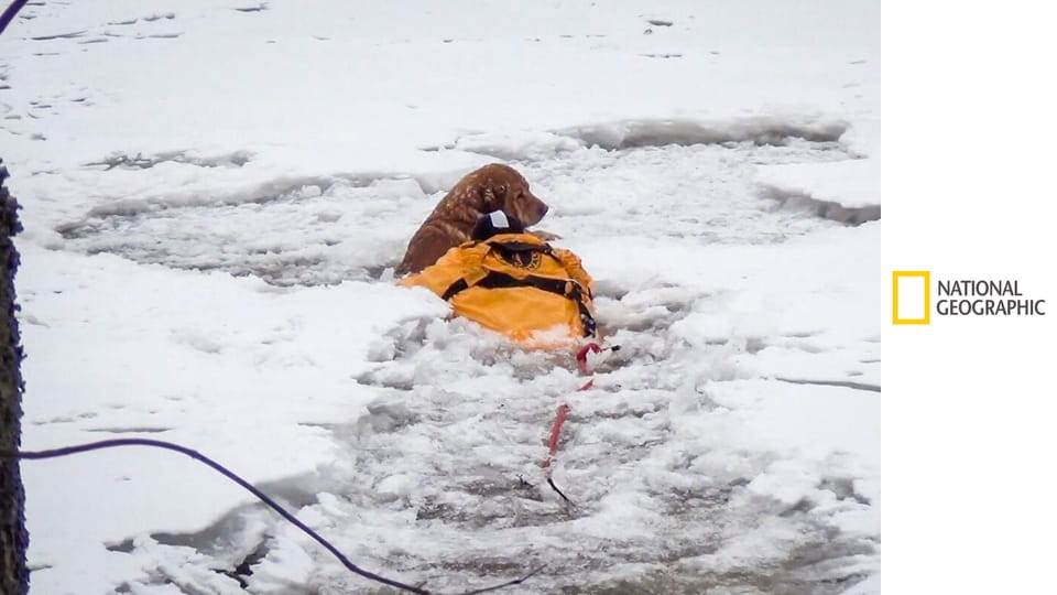 Niszczycielskie żywioły S3E1 - Gniew matki natury