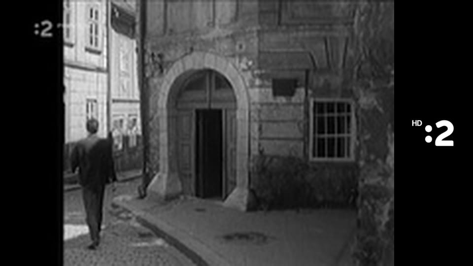 Herečky E6 - Kamila Magálová